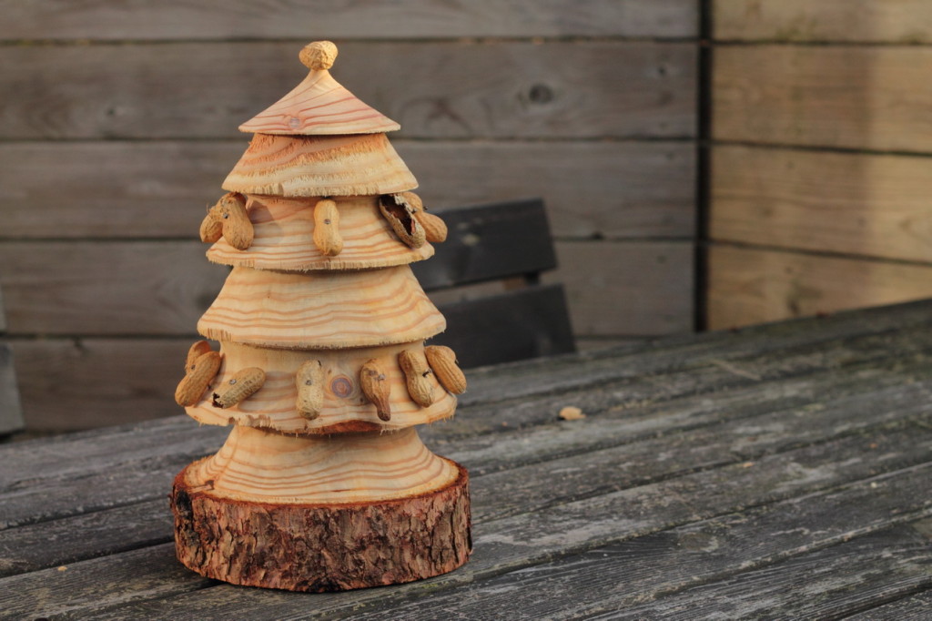 kerstboom2_resize