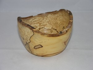 schaaltje esdoorn met slaap 02