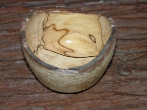 schaaltje esdoorn met slaap 03