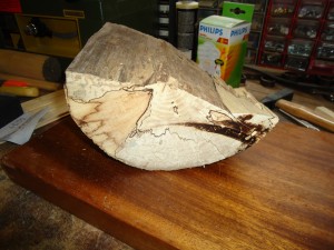 schaaltje esdoorn met slaap 07